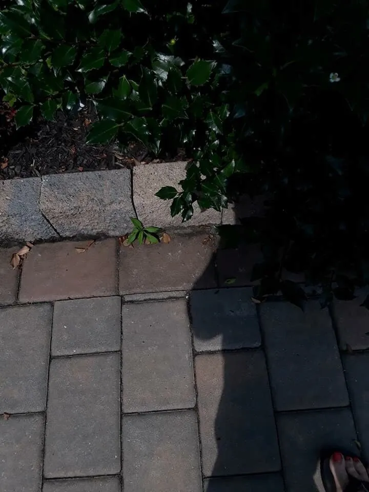 Affordable landscape design for outdoor upgrades across Freehold, NJ - C & Z Landscape & Hardscape