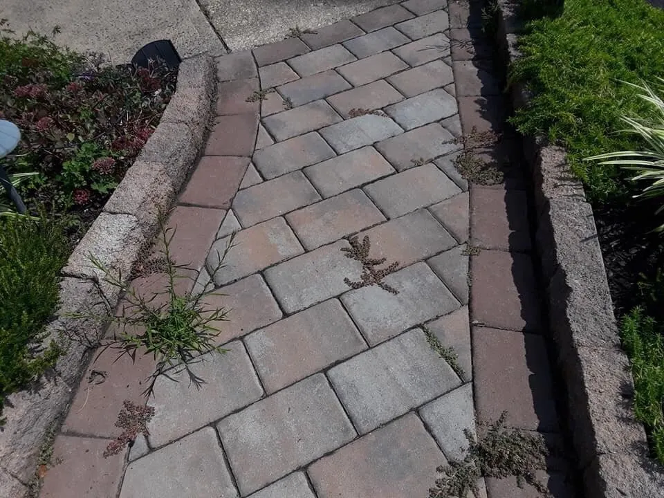 Trusted lawn care service in Freehold, NJ - C & Z Landscape & Hardscape