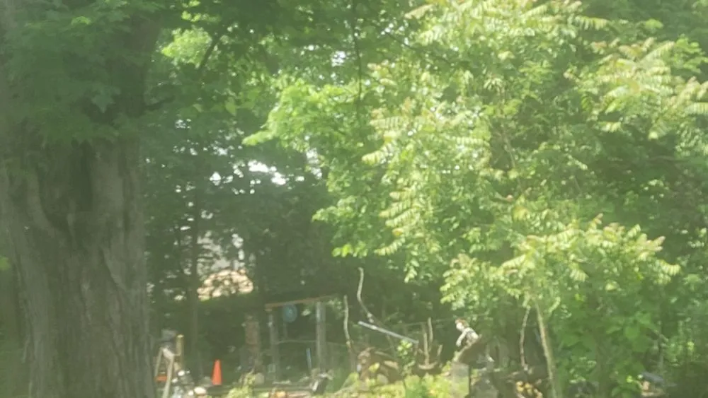 Affordable landscaping services near you in Warsaw, IN by C 1s Creative Landscaping