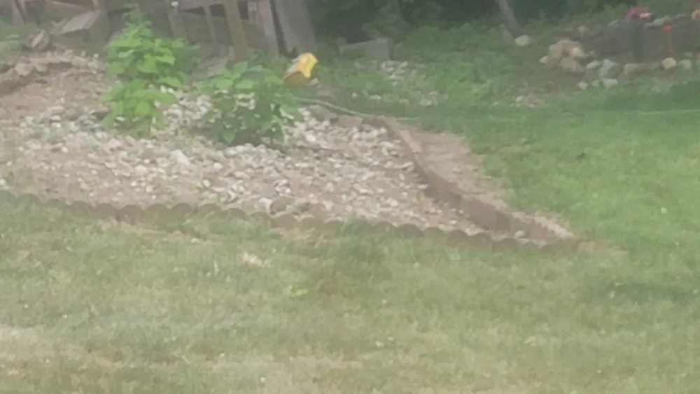 Local garden landscaping for beautiful yards in Warsaw, IN by C 1s Creative Landscaping