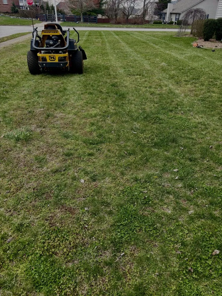 Top-rated residential landscaping in Nicholasville, KY - C A S Lawncare