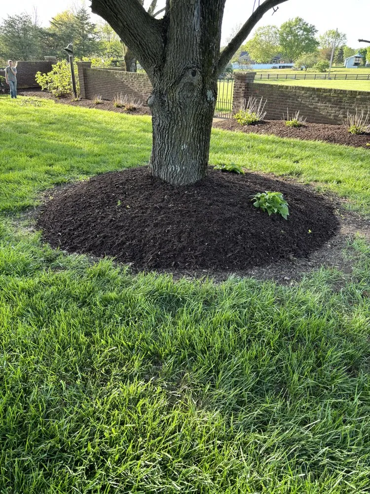 Affordable yard cleanup service experts serving Nicholasville, KY - C A S Lawncare