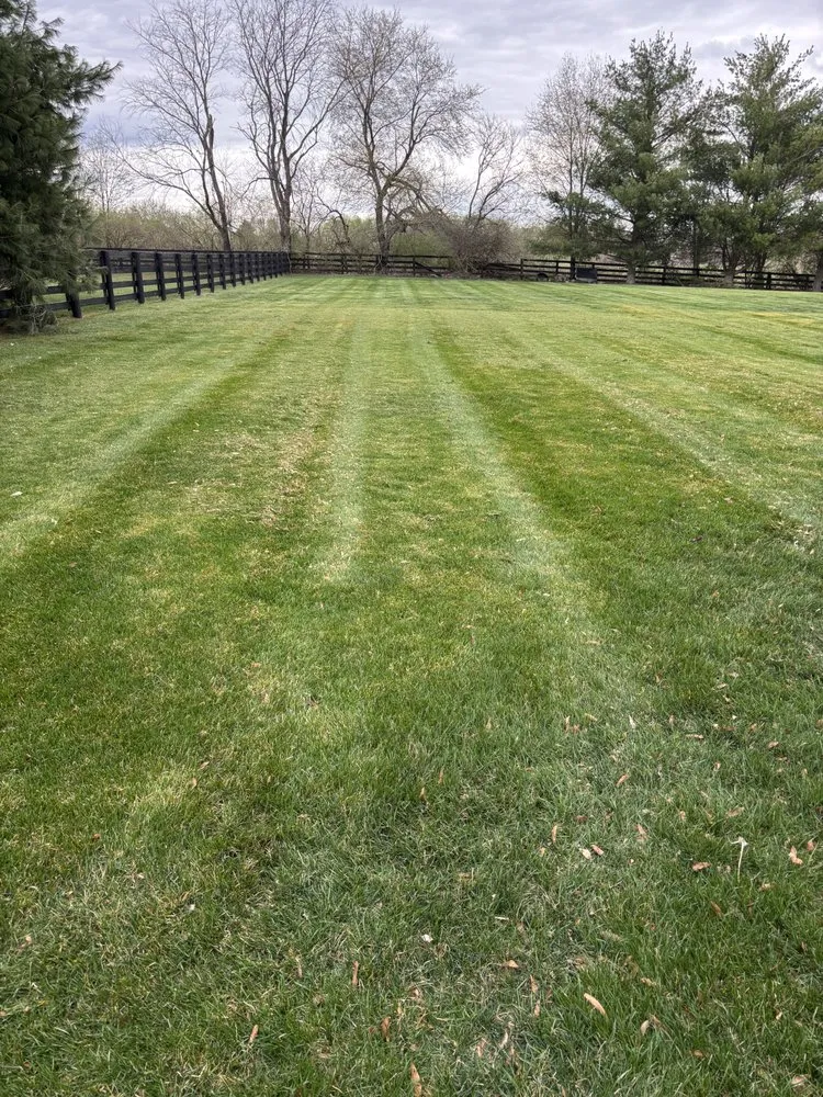 Trusted garden landscaping in Nicholasville, KY by C A S Lawncare