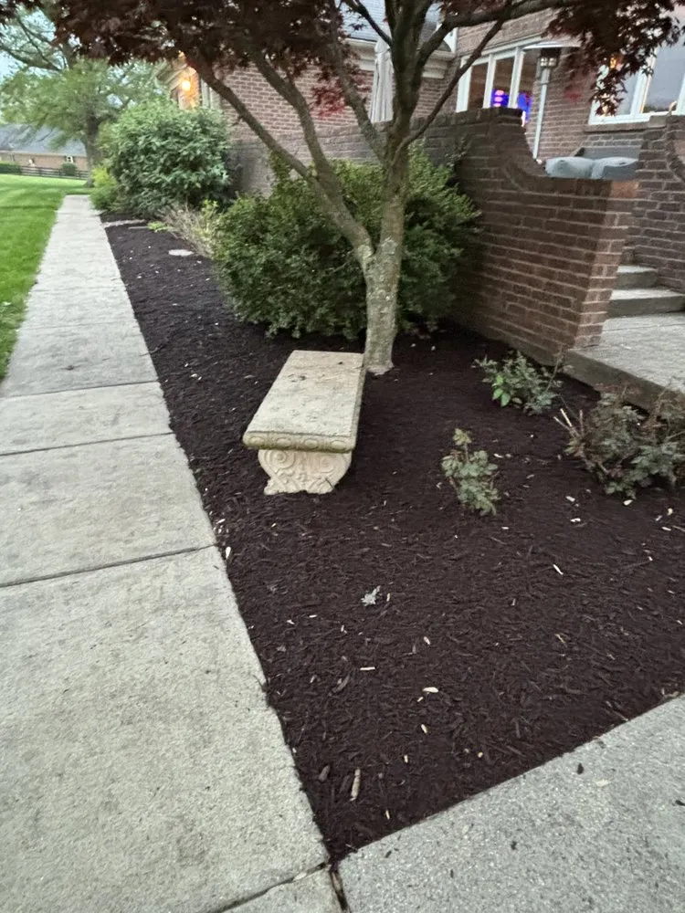 Professional yard cleanup service experts serving Nicholasville, KY - C A S Lawncare