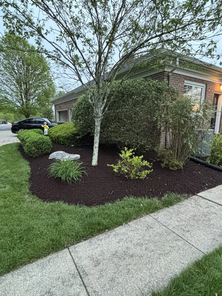 Custom yard cleanup service in Nicholasville, KY by C A S Lawncare