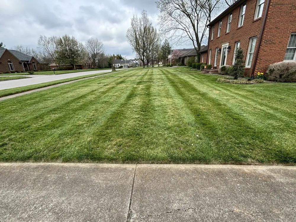 Trusted lawn care service in Nicholasville, KY by C A S Lawncare