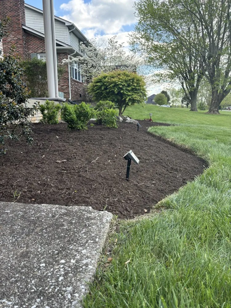 Custom yard maintenance experts serving Nicholasville, KY - C A S Lawncare