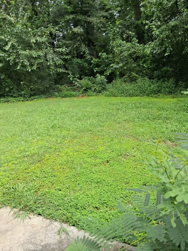 Custom landscape installation in Decatur, GA by C and B Complete Lawn Service