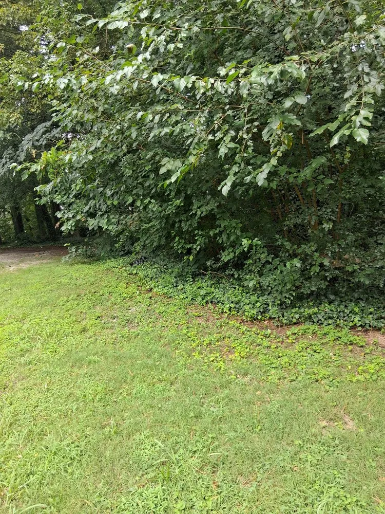 Top-rated garden landscaping in Decatur, GA - C and B Complete Lawn Service