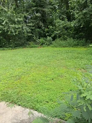 C and B Complete Lawn Service Logo