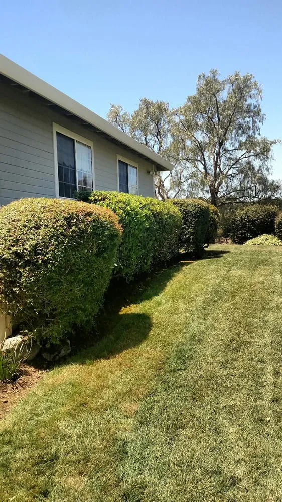 Top-rated garden landscaping in Morgan Hill, CA - C and B Landscape