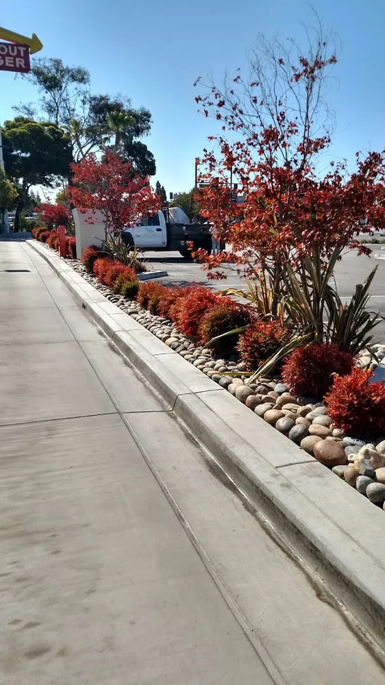 Expert residential landscaping in Morgan Hill, CA - C and B Landscape