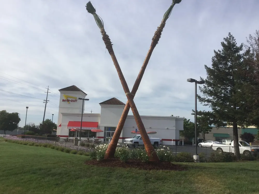 Trusted residential landscaping experts serving Morgan Hill, CA - C and B Landscape