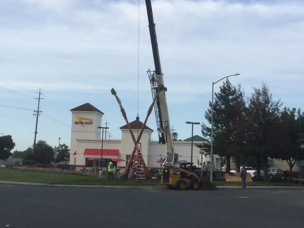 Custom lawn mowing service for year-round maintenance in Morgan Hill, CA by C and B Landscape