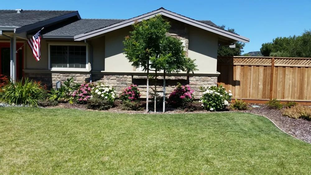 Reliable landscaping services experts serving Morgan Hill, CA - C and B Landscape