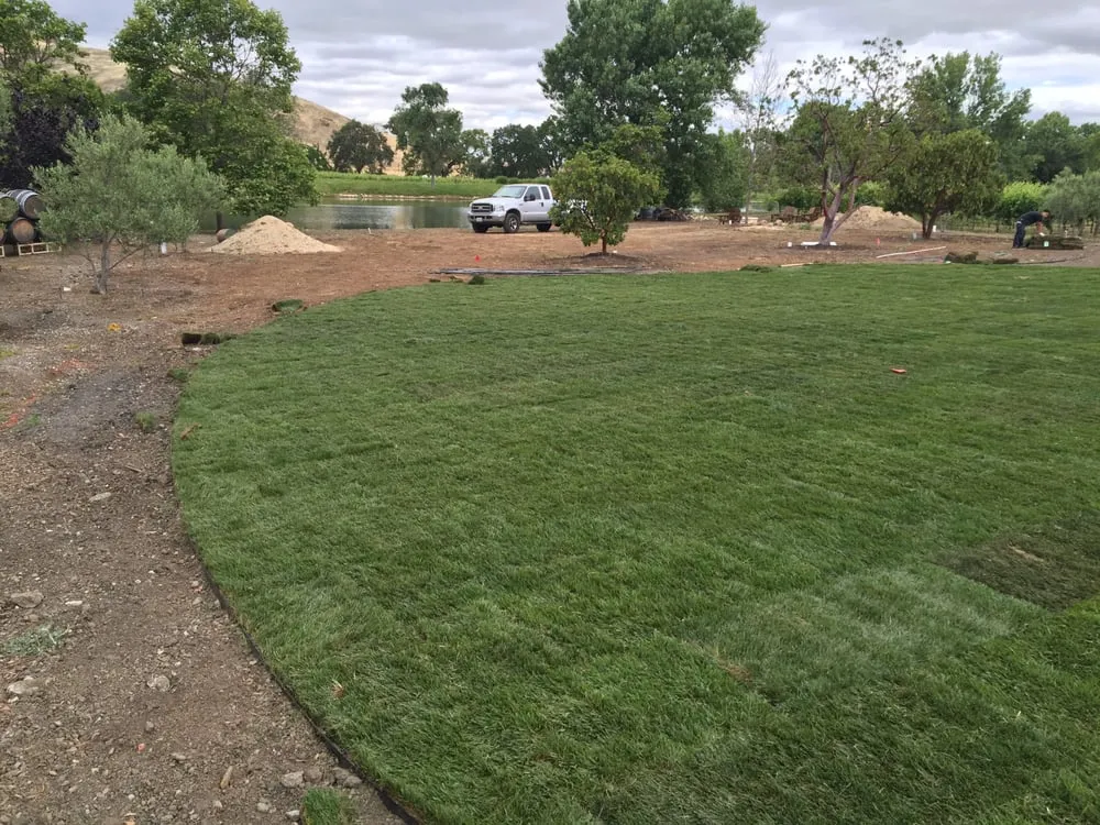 Trusted residential landscaping experts serving Morgan Hill, CA - C and B Landscape