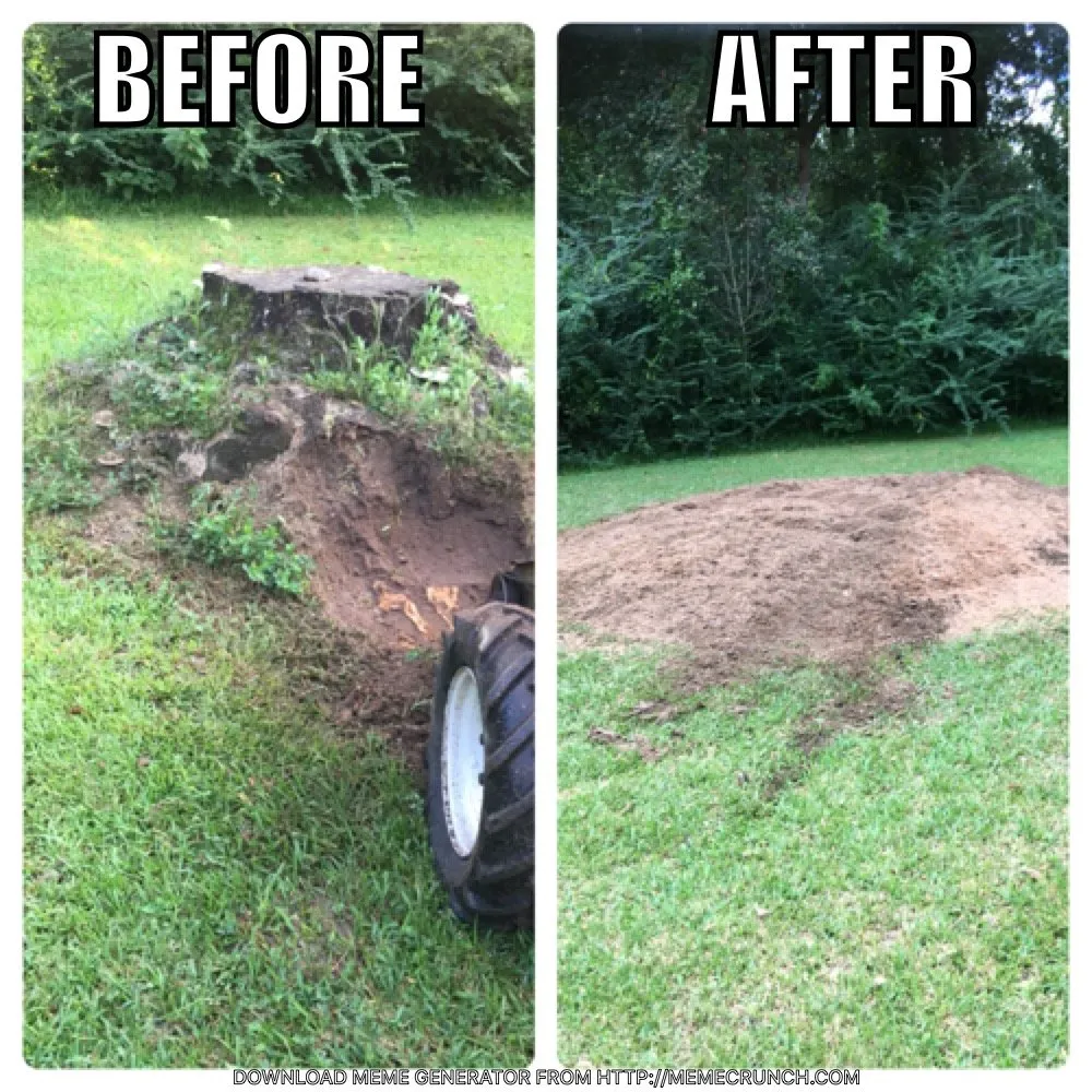 Reliable landscape installation near you in Ocean Springs, MS by C and C Home and Lawn care
