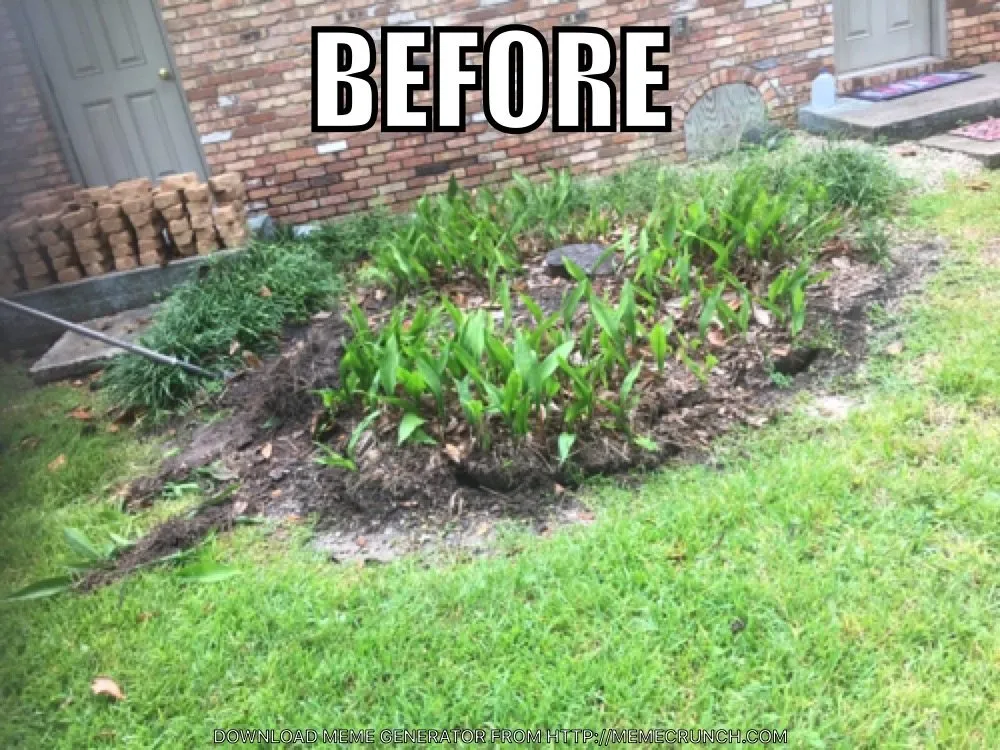 Top-rated landscape design experts serving Ocean Springs, MS - C and C Home and Lawn care