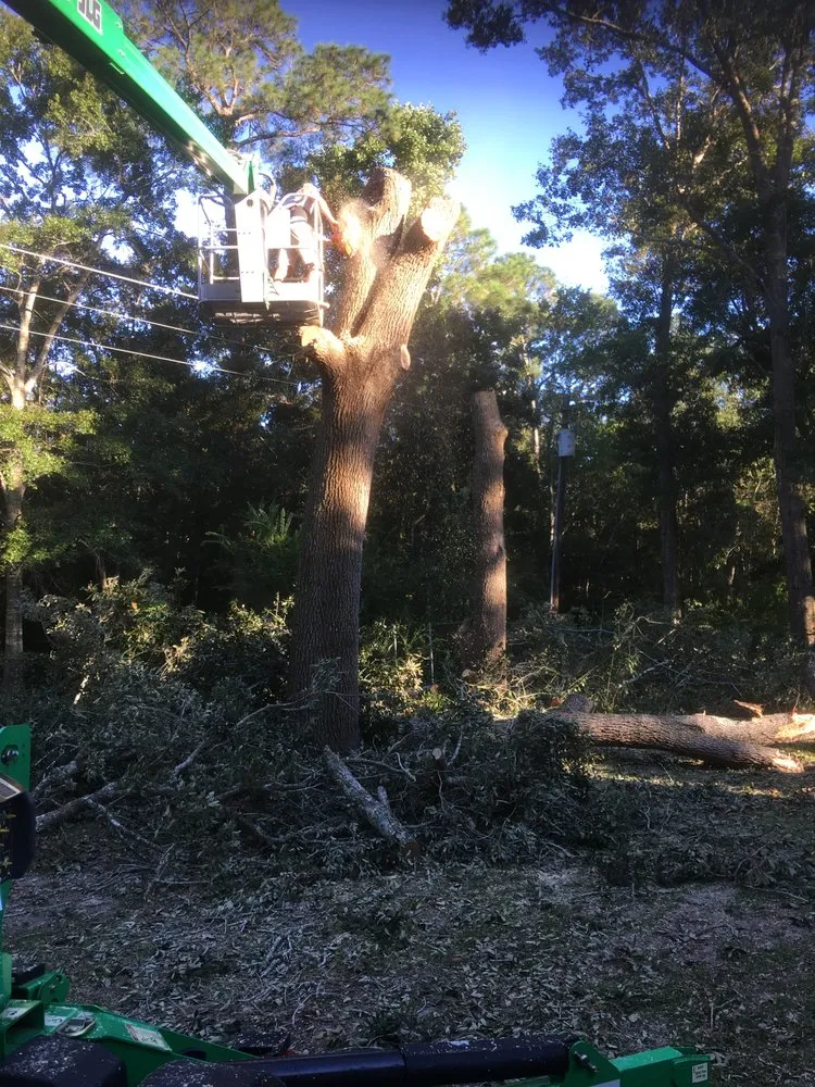 Top-rated landscaping services for residential properties in Ocean Springs, MS by C and C Home and Lawn care