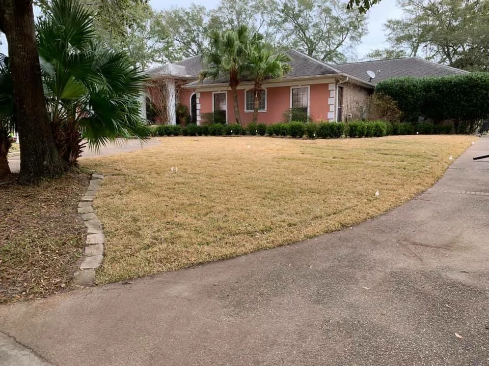 Expert yard cleanup service in Ocean Springs, MS by C and C Home and Lawn care