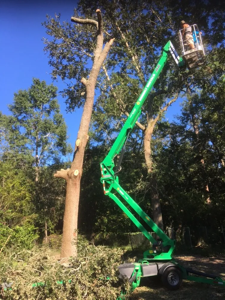 Top-rated landscape design with custom design across Ocean Springs, MS - C and C Home and Lawn care