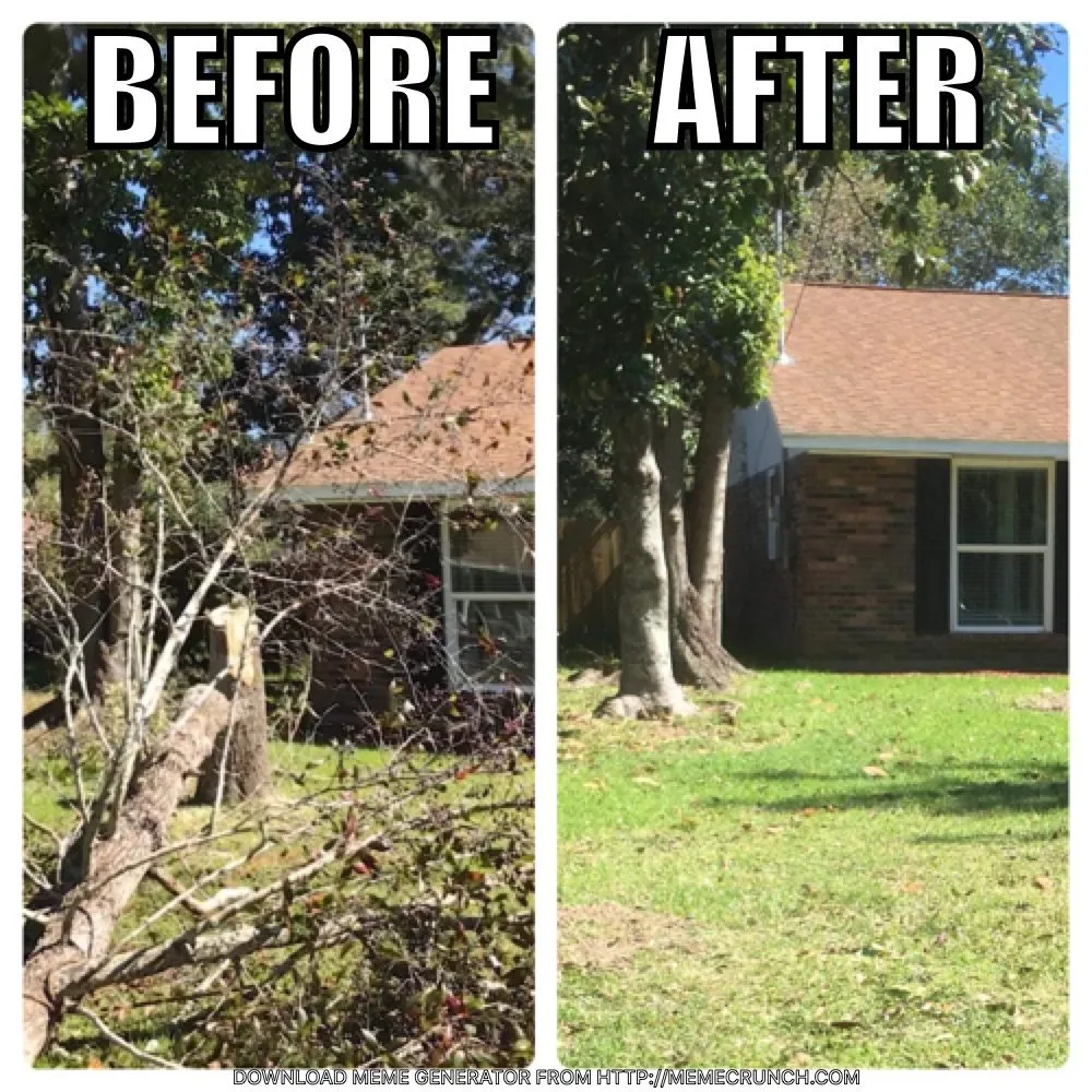 Custom lawn mowing service for outdoor upgrades across Ocean Springs, MS - C and C Home and Lawn care