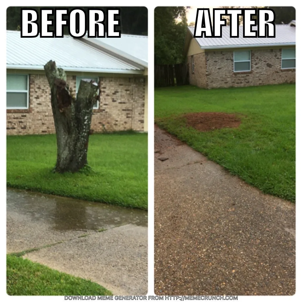 Top-rated landscape design for year-round maintenance in Ocean Springs, MS by C and C Home and Lawn care