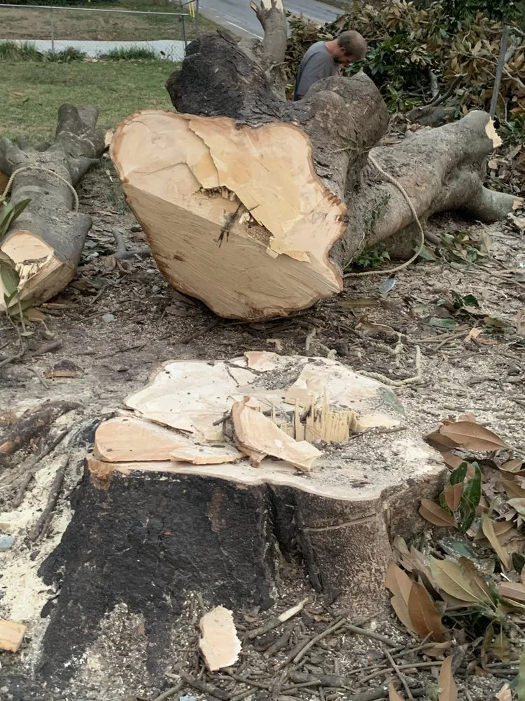 Trusted yard cleanup service in Fayetteville, GA - C and C Landscaping