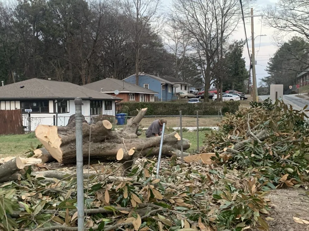 Affordable yard cleanup service in Fayetteville, GA - C and C Landscaping