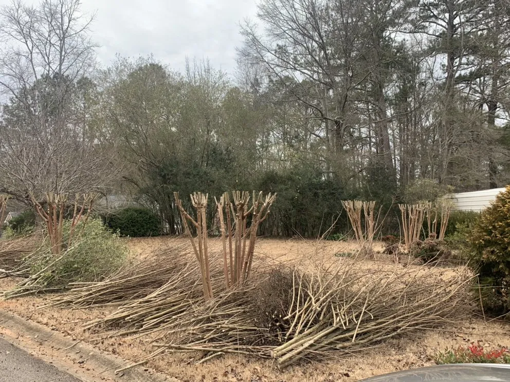 Reliable lawn mowing service in Fayetteville, GA - C and C Landscaping