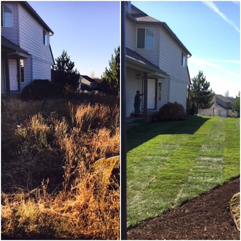 Local yard cleanup service in Dayton, OR - C and D Landscape Co.