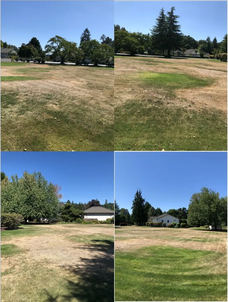 Affordable residential landscaping for homes in Dayton, OR by C and D Landscape Co.