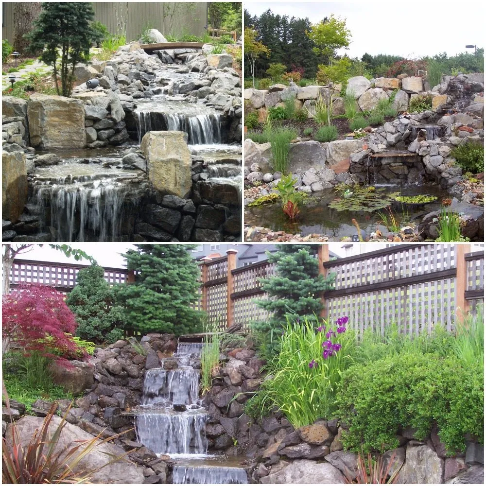 Top-rated landscape design experts serving Dayton, OR - C and D Landscape Co.