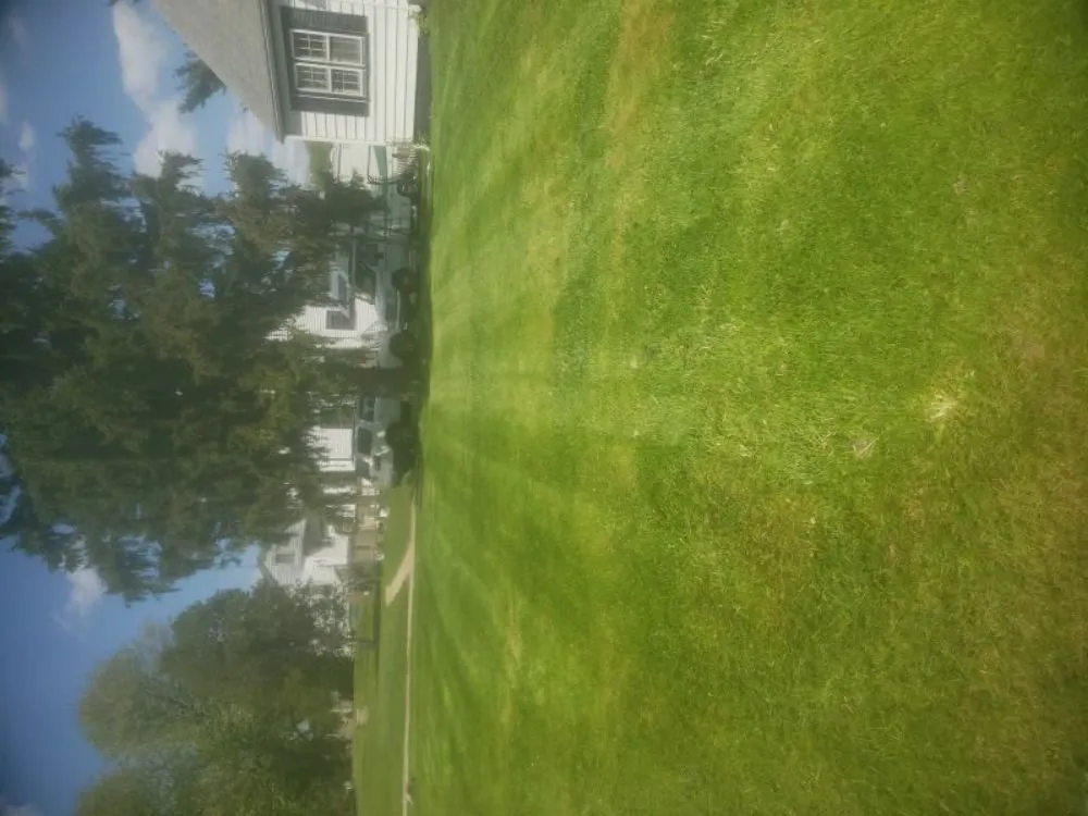 Top-rated landscaping services for beautiful yards in Rockford, IL by C and F Lawncare and Roofing