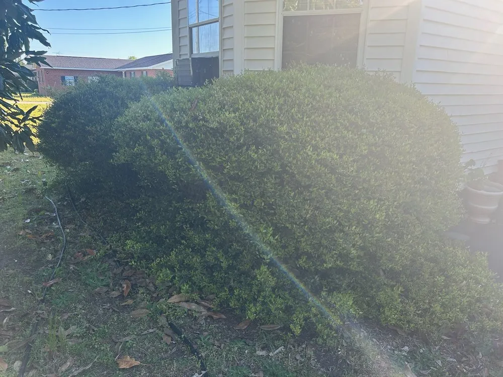 Trusted yard maintenance for beautiful yards in Wrens, GA by C and G Lawn Care Service