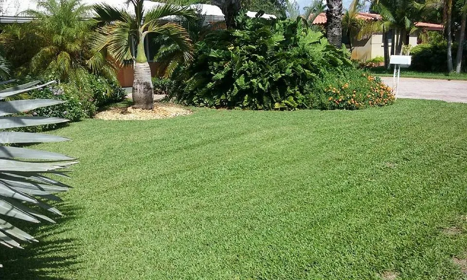 Top-rated residential landscaping for residential properties in Pembroke Pines, FL by C and J Mowing