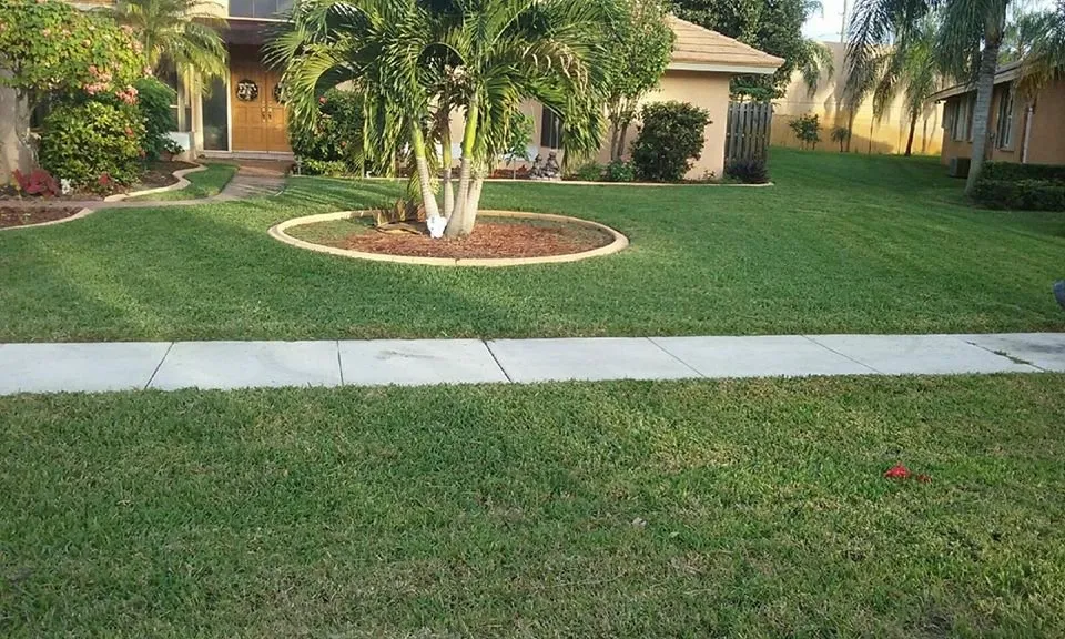 Trusted lawn mowing service experts serving Pembroke Pines, FL - C and J Mowing