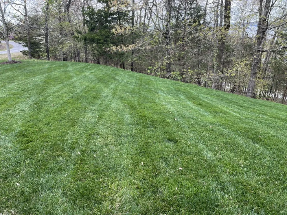 Expert garden landscaping in Branson, MO - C And J Nature