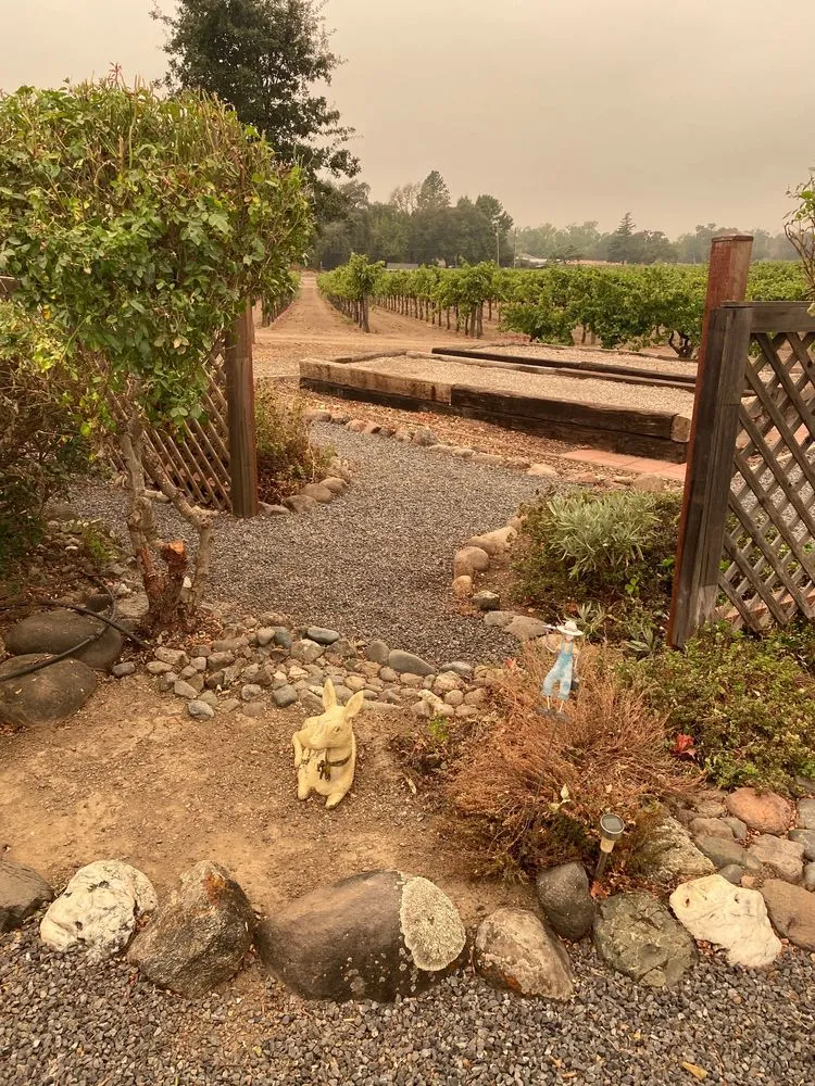 Local outdoor landscaping experts serving Windsor, CA - C and J Yard Care Maintenance