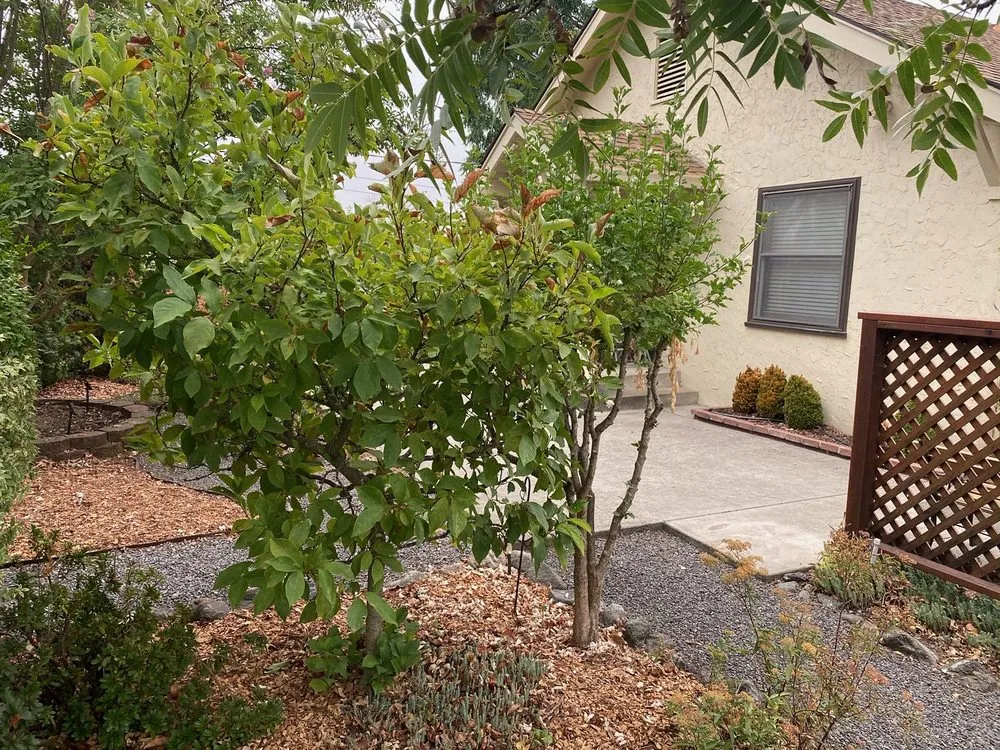 Local landscape installation in Windsor, CA - C and J Yard Care Maintenance