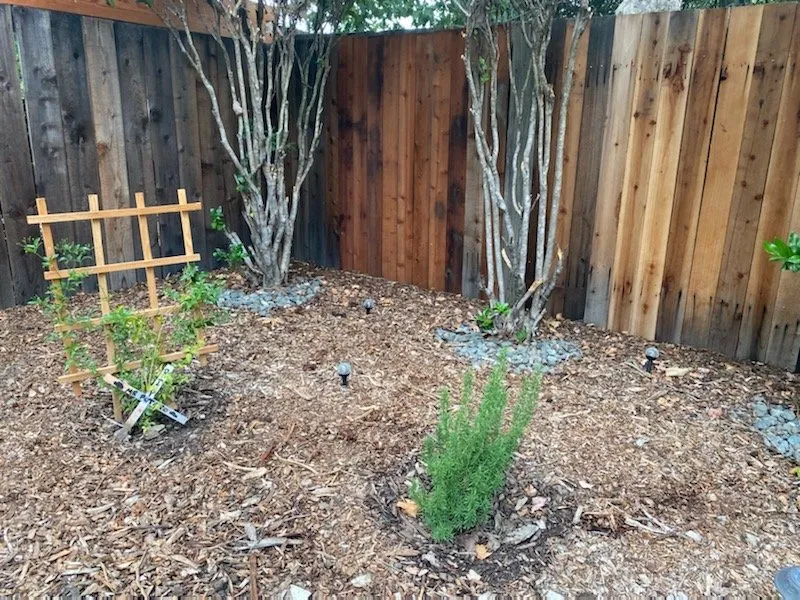 Affordable outdoor landscaping experts serving Windsor, CA - C and J Yard Care Maintenance