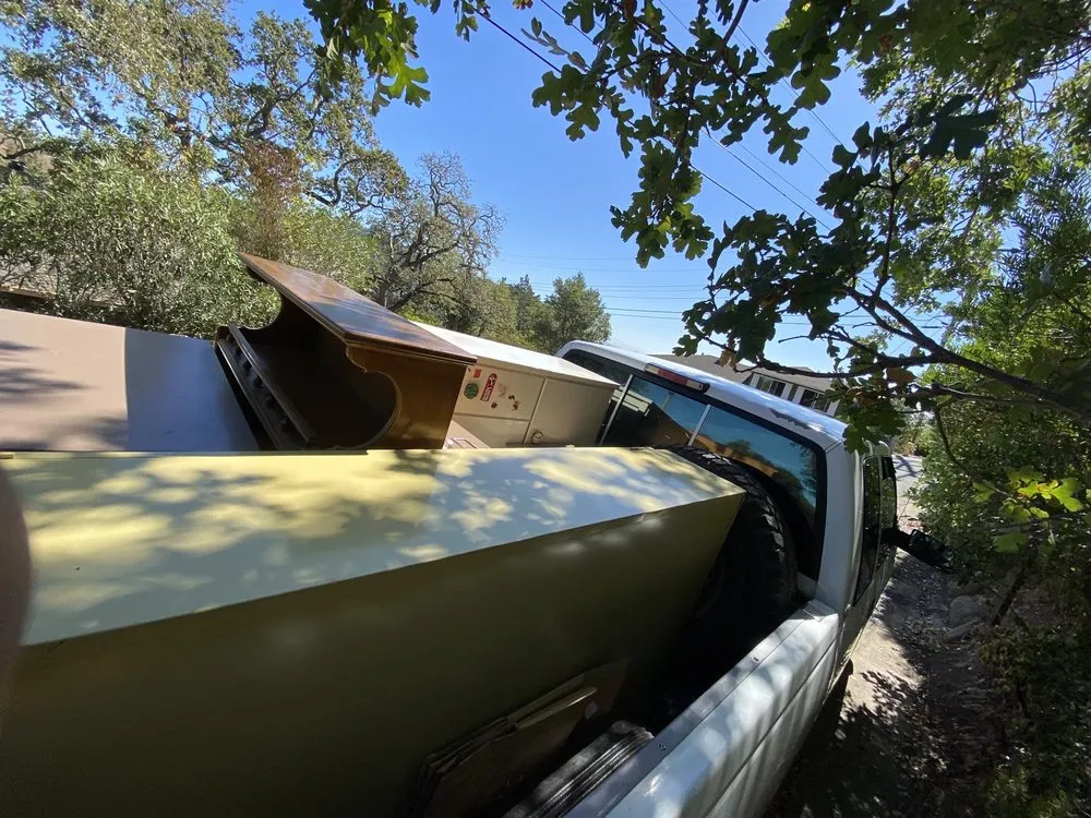 Trusted yard maintenance for year-round maintenance in Windsor, CA by C and J Yard Care Maintenance