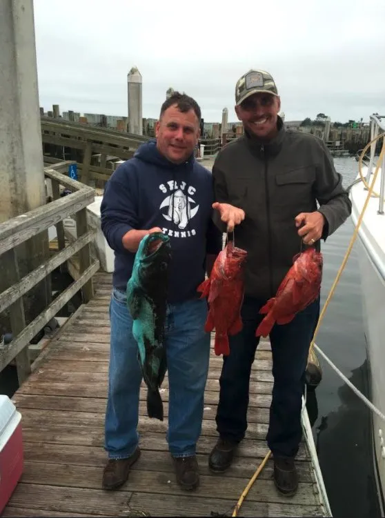 Local lawn care service for outdoor upgrades in Windsor, CA by C and J Yard Care Maintenance