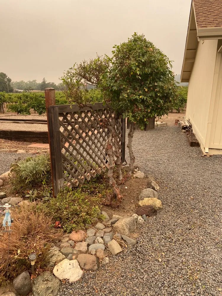 Expert lawn mowing service for outdoor upgrades in Windsor, CA by C and J Yard Care Maintenance