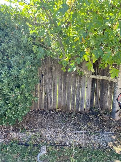 Trusted landscape design for outdoor upgrades across Windsor, CA - C and J Yard Care Maintenance