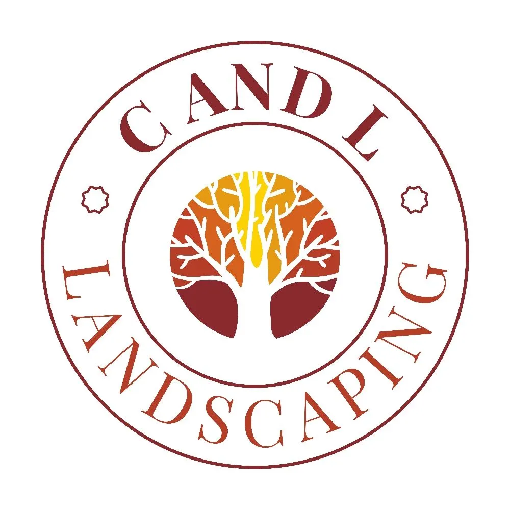 Top-rated landscape installation for year-round maintenance in Manassas, VA by C And L Landscaping