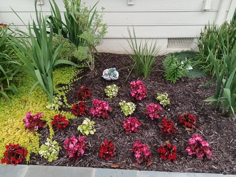 Reliable yard maintenance in Manassas, VA - C And L Landscaping