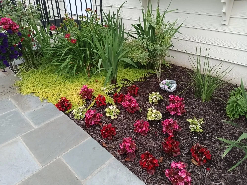 Local landscape design for homes in Manassas, VA by C And L Landscaping