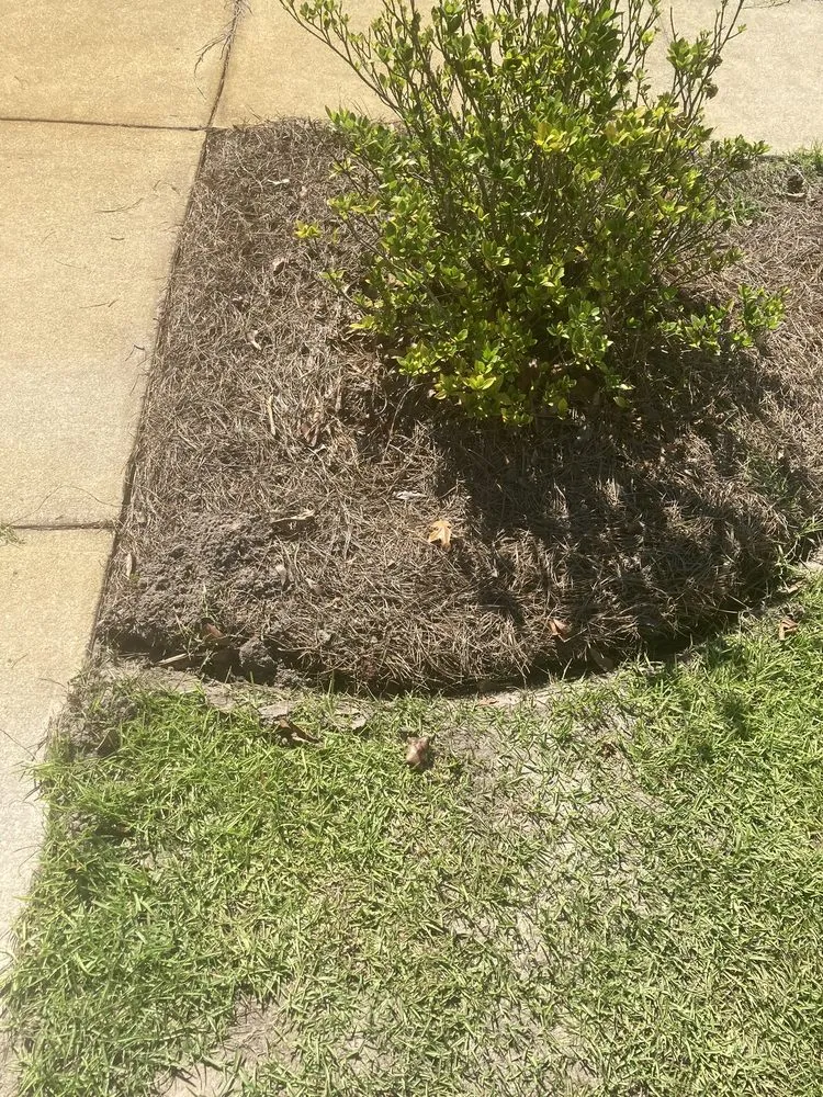 Professional yard cleanup service experts serving Clarksville, TN - C And M Family Landscapes