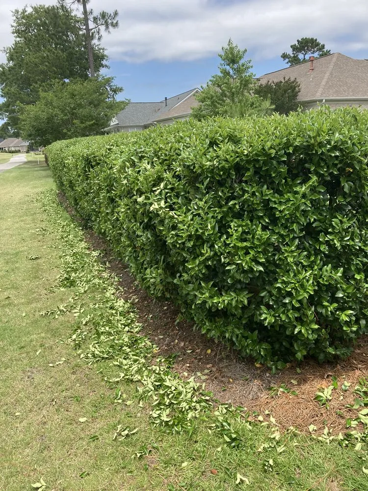 Professional garden landscaping experts serving Clarksville, TN - C And M Family Landscapes